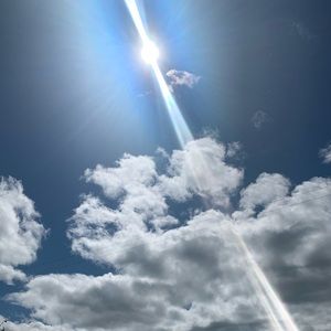 Meet your Posher, Ashlee